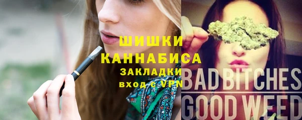 мдпв Коряжма