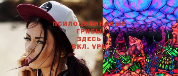мдпв Коряжма