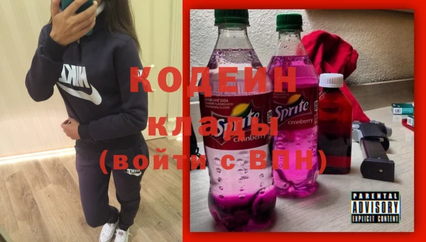 мдпв Коряжма