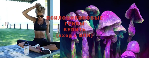 прущая мука Краснослободск
