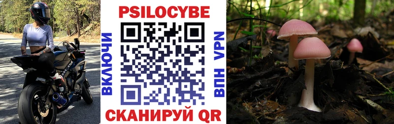 Псилоцибиновые грибы Magic Shrooms  Котовск 