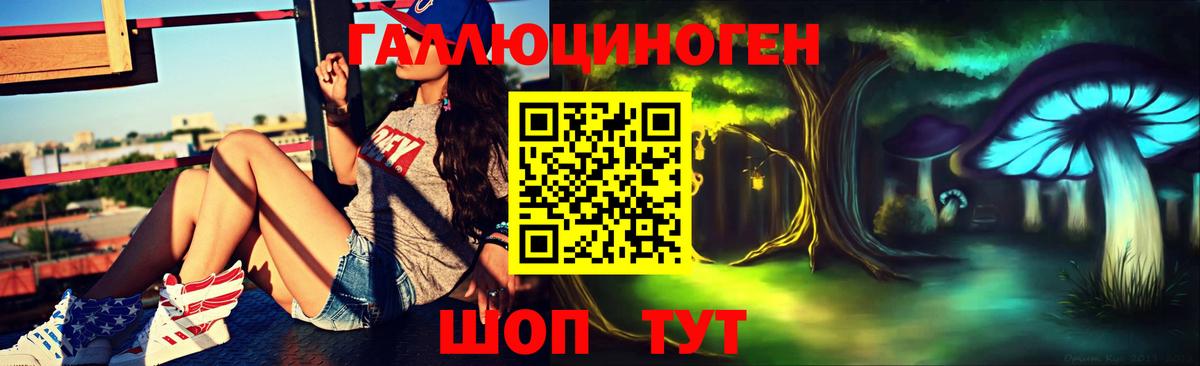 Котовск  Псилоцибиновые грибы мухоморы  Вход с VPN 