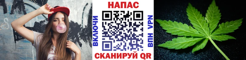 shop какой сайт  Котовск  Канабис планчик 